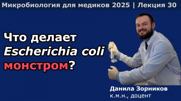 Патогенные эшерихии и шигеллы