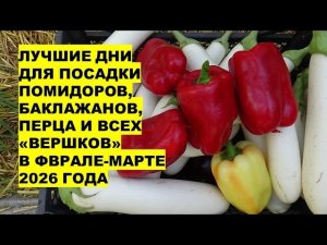 Самые Лучшие Дни Февраля-Марта 2026 года для Посадки Помидоров, Баклажанов, Перца, всех "вершков"?!