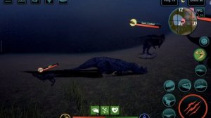 гнездение и выживание с подписчиком