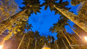 БРАЗИЛИЯ ещЁ