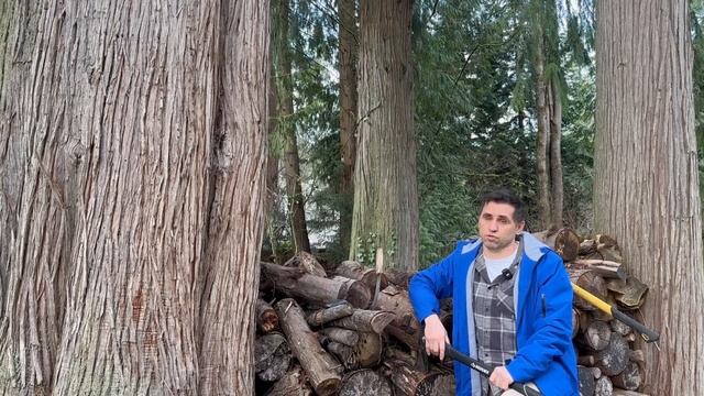 Самооборона в американской глуши- если ночью ломятся в частный дом (Лесная жизнь в Америке.) смотреть онлайн