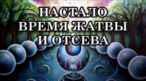 БЛИЖАЙШЕЕ БУДУЩЕЕ ЧЕЛОВЕЧЕСТВА И ПЛАНЕТЫ. НАСТАЛО ВРЕМЯ ЖАТВЫ И ОТСЕВА