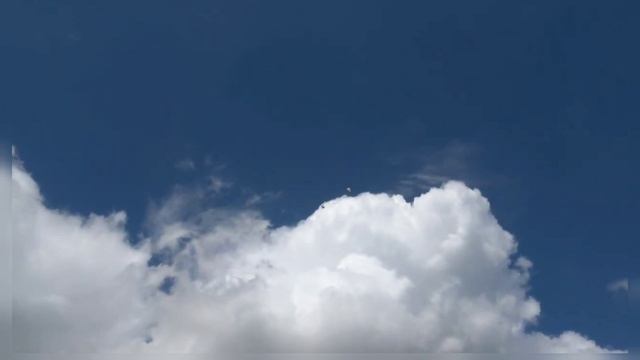 Объявление.Выставка Голубей 22 февраля 2026г. в г.Донецк ДНР.mp4