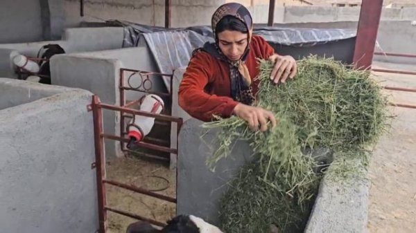 Процесс сборки доильных аппаратов, получение печати генерального директора Тайябой.