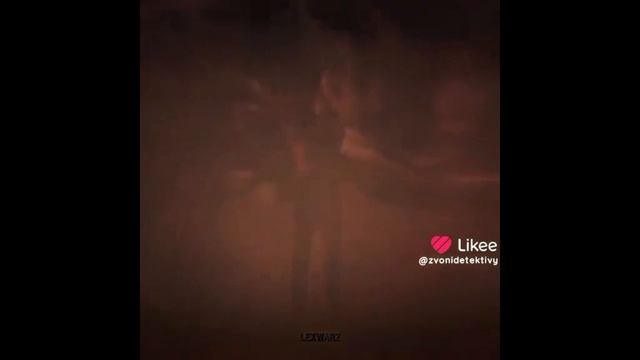 эдитрр новые снова