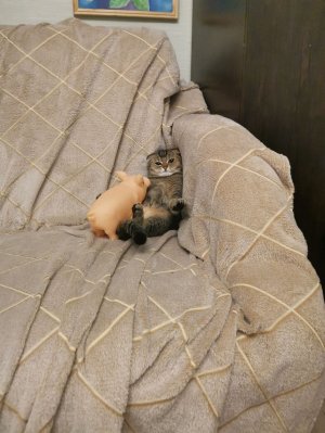 Разговор с зрителями