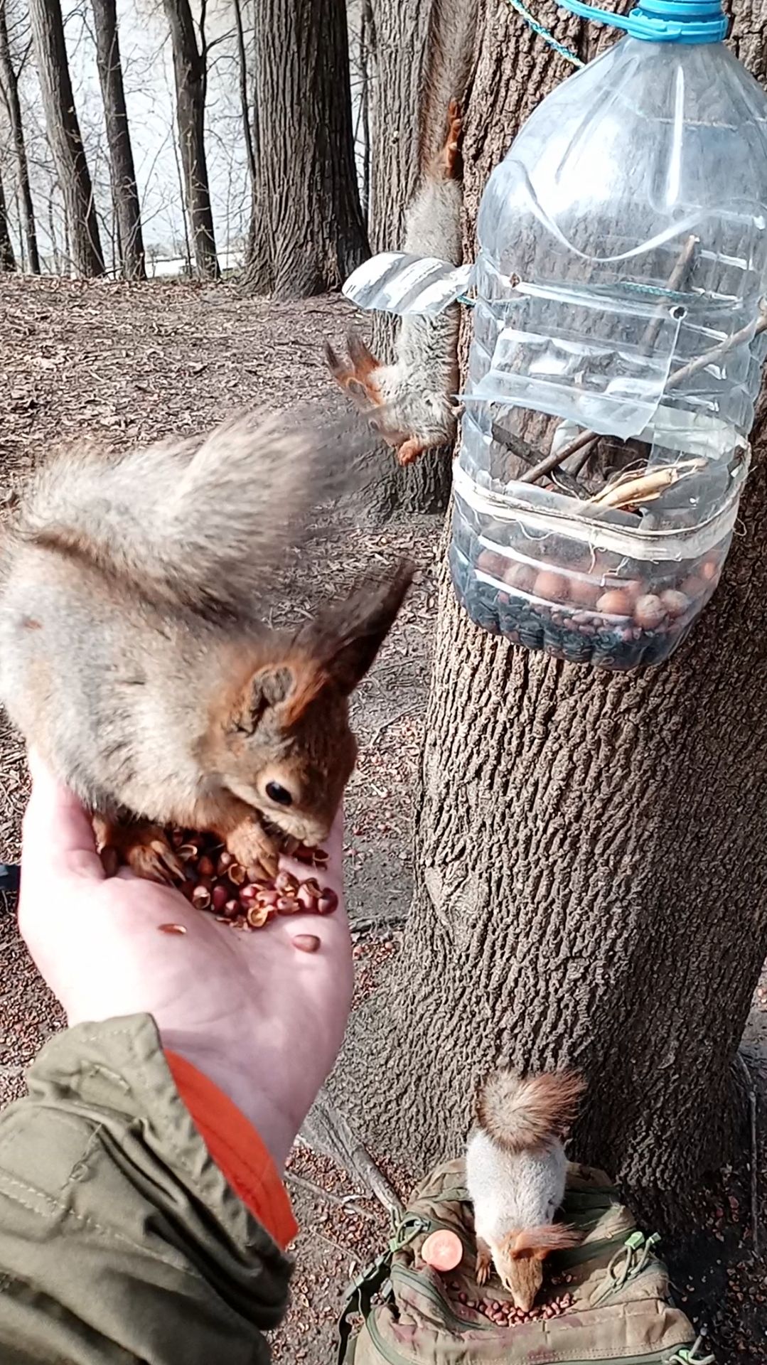 Три голодные белки. Апрель 2023 смотреть онлайн