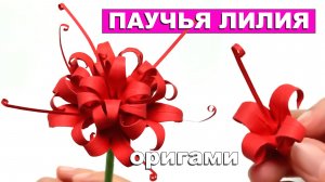 Оригами Паучья Лилия из бумаги 🌸 Как сделать Ликорис из бумаги. Создание цветка лилии-паука оригами