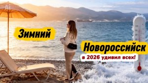 Зимний Новороссийск удивил в 2026 году. От мороза до весны за месяц! Черноморское побережье.
