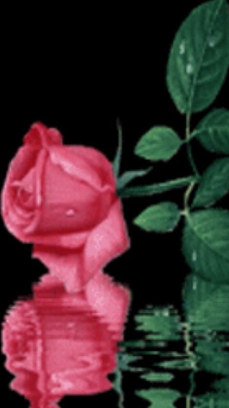 Жизнь - это ... смотреть онлайн