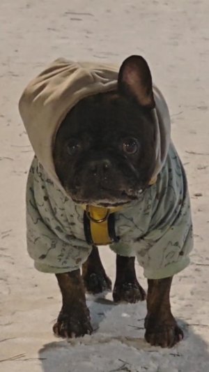 Стич на Мурмулях 07.02.2026