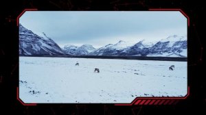 ВЗГЛЯД ОТ АРХАНГЕЛОВ. ГРЕНЛАНДСКИЙ ТУПИК