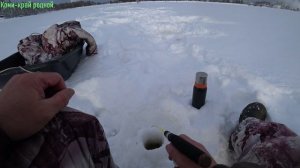 Рыбалка 7 февраля.Рыбка просыпается!