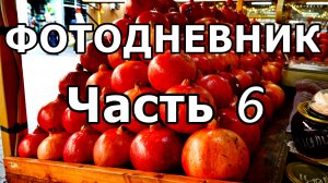 ЦВЕТЫ, КАКТУСЫ, ГРАНАТЫ В АДЛЕРЕ! 23 НОЯБРЯ 2025 ГОДА. ФОТО СЛАЙД-ШОУ.