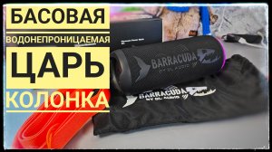 Убийца JBL. Басовая и водостойкая колонка от DL Audio Barracuda Portable Speaker