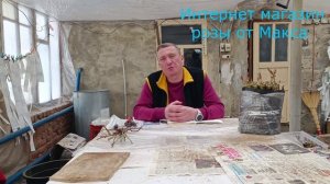 Ответы на общие вопросы. Шиповник место роз