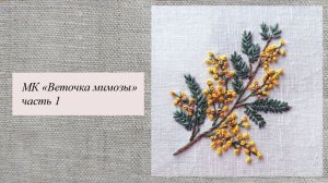 МК "Веточка мимозы", часть 1, общая информация