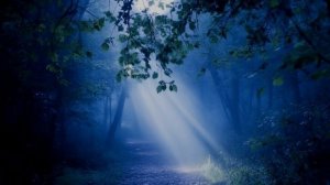 Ты вышла из сумрака ночи