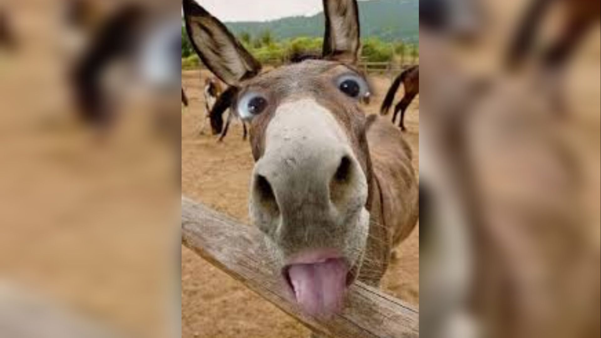 С понедельника по пятницу музыкальная автопауза/февраль смотреть онлайн