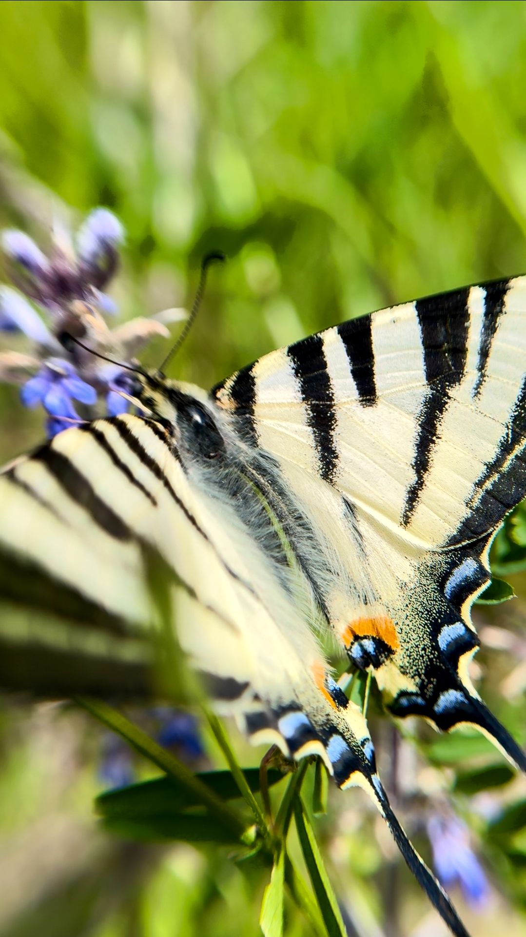Февраль, а я уже очень жду весну и тепло🦋🌿🌞