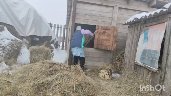 Что купил сын//разбила чайник, замена//заготовка мяса// хозяйство//