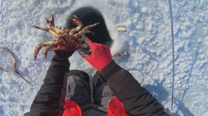 Рыбалка на крабов, Сахалин. Охотское море.