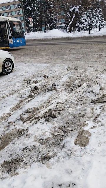 тролза мегаполис проезжает мимо, маршрут 4, город Подольск