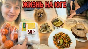 ПРОДОЛЖАЕМ РЕМОНТ СВОИМИ РУКАМИ. Готовлю обед. Закупка продуктов  ИЗ ГОРОДА В ДЕРЕВНЮ ПЕРЕЗАГРУЗКА