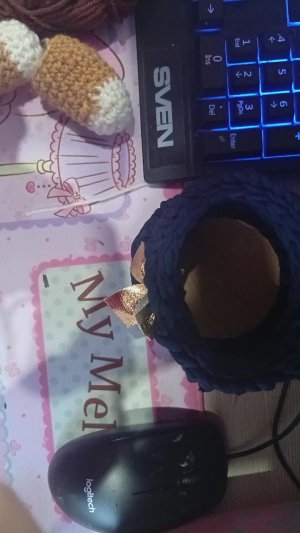 вяжем собачку