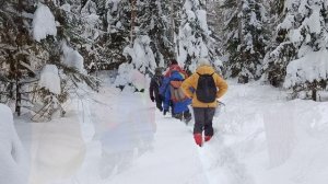 2026.02.07 Буньково-Церковново-Пелгусово 24 км