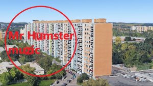 Mr Humster muzic / bass 9