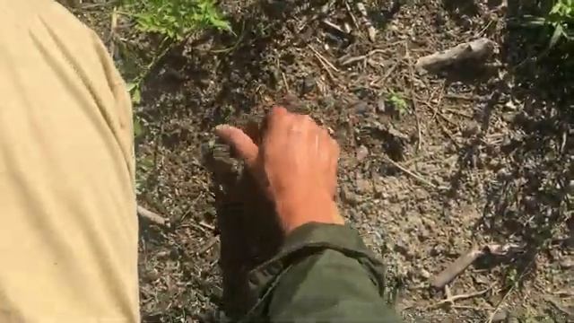 Использование японского серпа (кама) в сельском хозяйстве