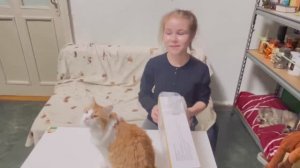 Подарок для котиков 🐱🎁