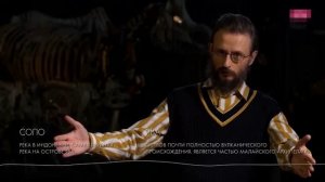 Параллельная эволюция. Как возникали новые виды людей.