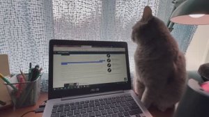 Влог со 2 по 8 февраля 26 года. Уроки с котами, готовая мочалка по-новому, платье двигаю