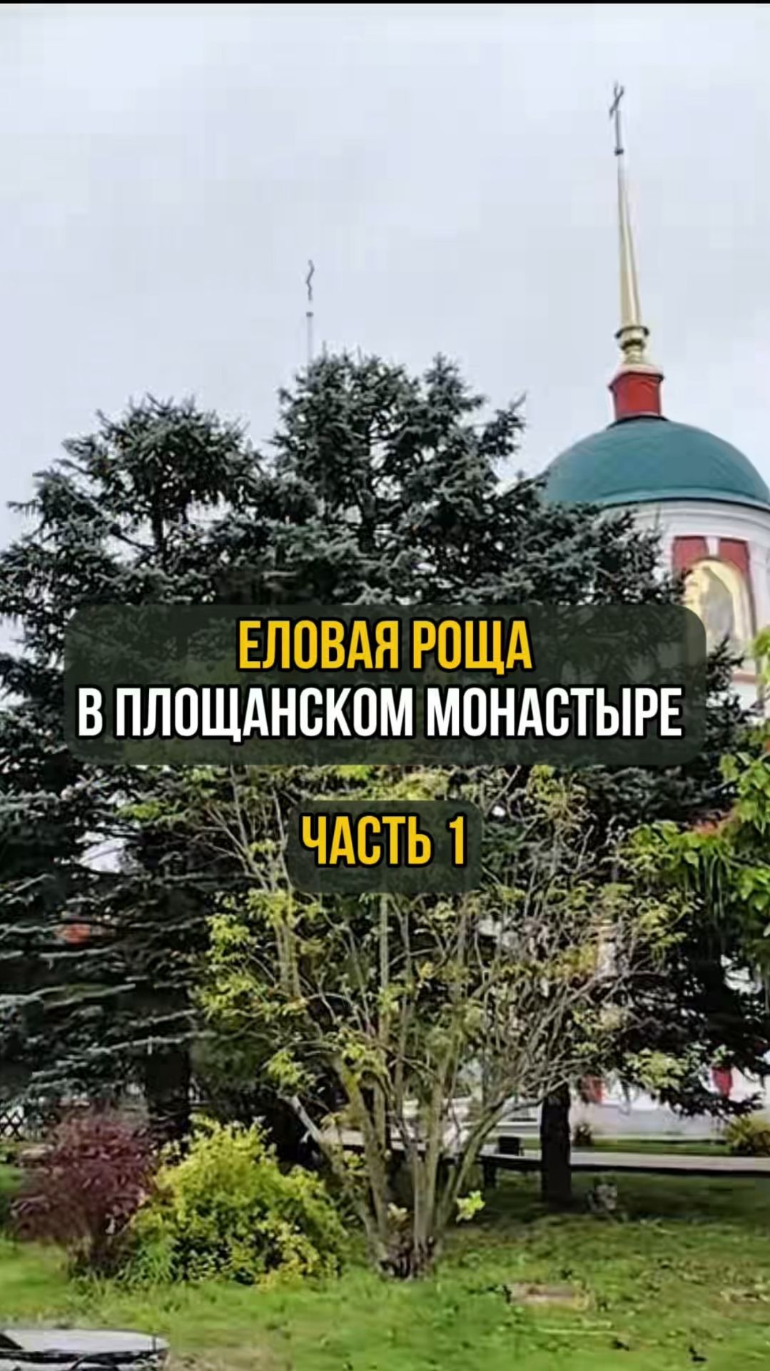 Еловая роща в Площанском монастыре. Часть 1 смотреть онлайн