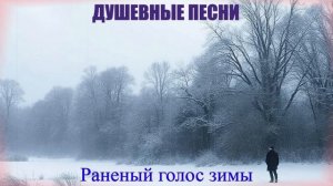 ДУШЕВНЫЕ ПЕСНИ|Раненый голос зимы|ДУШЕВНЫЙ ШАНСОН