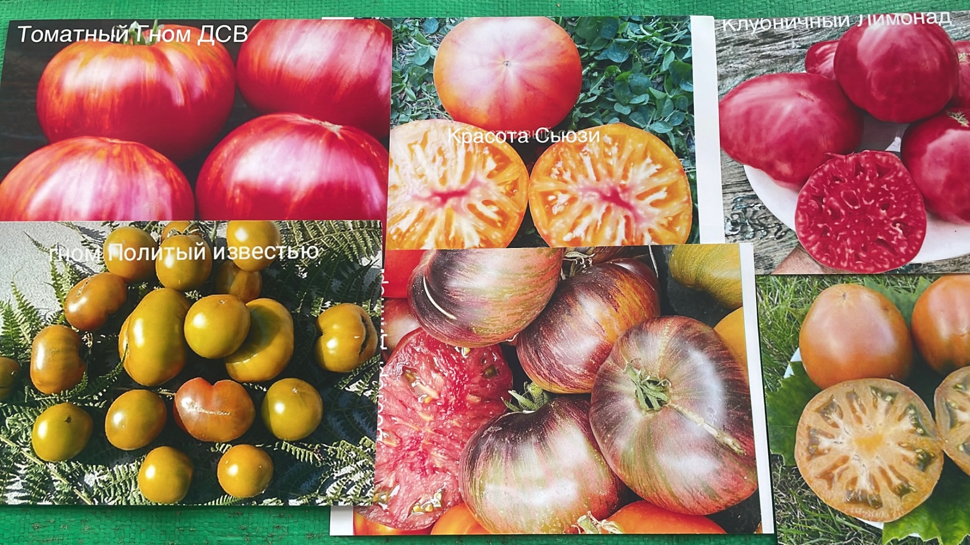 Посев Томатных Гномов и Сладких перцев на рассаду. смотреть онлайн