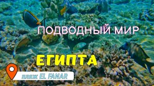 Пляж Эль Фанар. Шарм эль Шейх. Египет 🇪🇬
