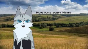 Первое видео