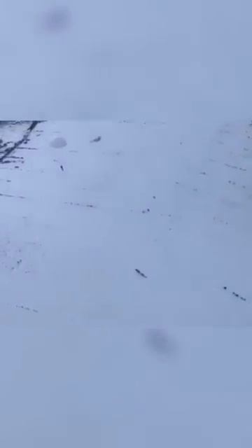 ШУТКА СОЛДАТА РАССМЕШИЛА ВЕСЬ КРЕМЛЬ 😧 смотреть онлайн