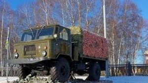 Жужик что то захрамал