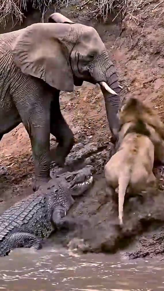 Не трогай друга! смотреть онлайн