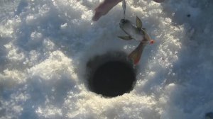 Рыбалка в глухозимье. Две ночи в избе. В гостях у жителя Тайги!