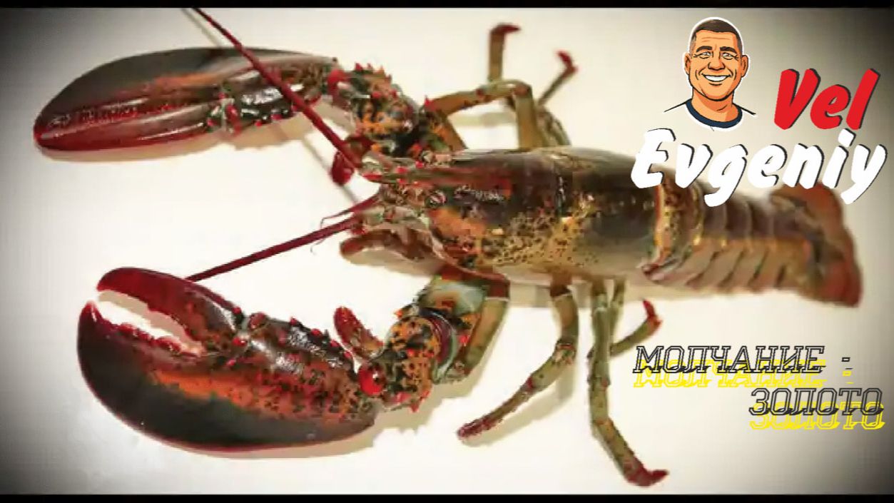 "Молчание - золото" смотреть онлайн