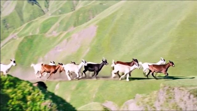 Экоферма Кунцалу