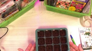 как сэкономить на торфяных таблетках посев петунии пентаса торении