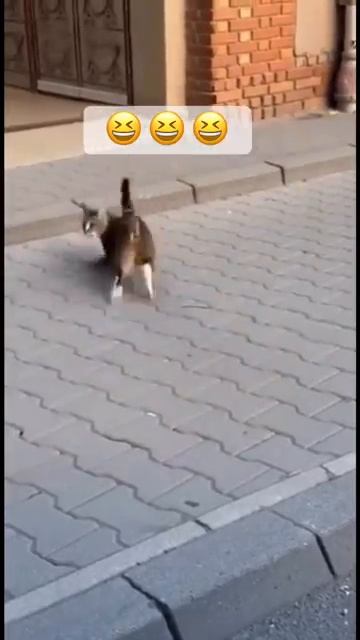 😧 смотреть онлайн