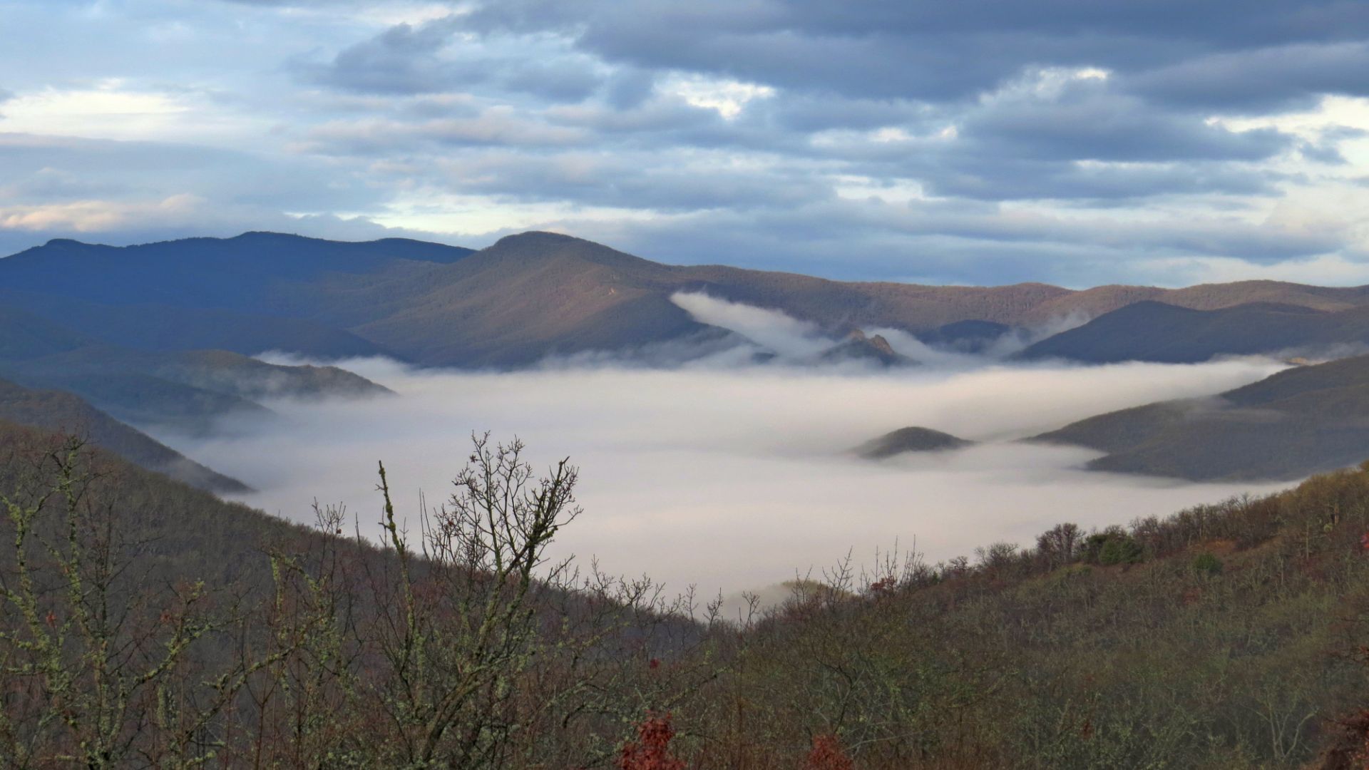 Лес, подснежники. Подъём на гору Измаил-Кая. Лесное. Судак. Лес, подснежники. Подъём на гору Измаил-Кая. Лесное. Судак.