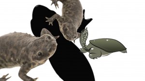 Игра  " Творение Сонарии"